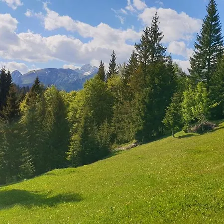 Mountain Eco Konjska Dolina On 1400 M Asl -near Pokljuka