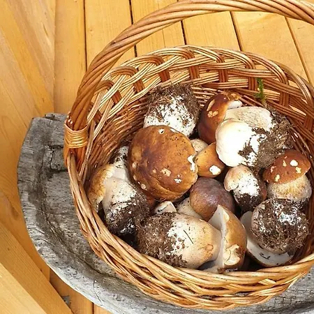 別荘 Mountain Eco Konjska Dolina On 1400 M Asl -near Pokljuka Srednja Vas v Bohinju