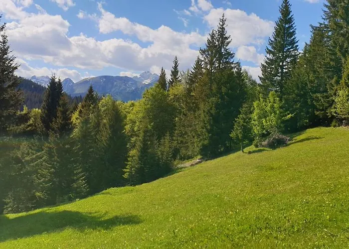 Mountain Eco Konjska Dolina On 1400 M Asl -near Pokljuka