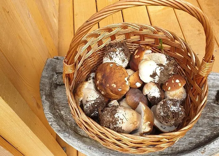 بيت للعطل Mountain Eco Konjska Dolina On 1400 M Asl -near Pokljuka Srednja Vas v Bohinju