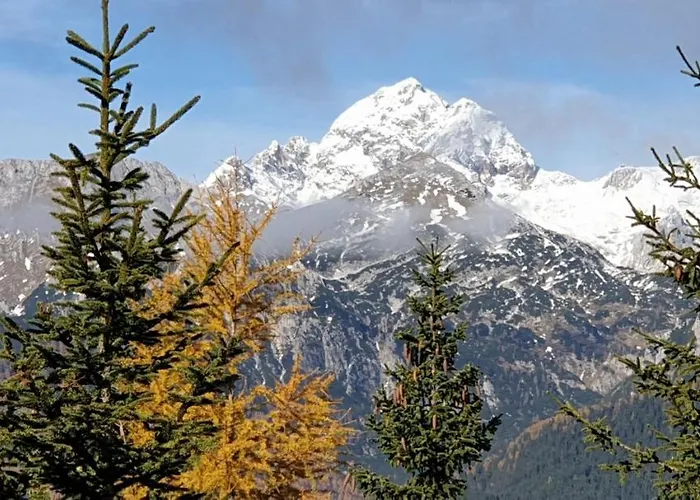 بيت للعطل Mountain Eco Konjska Dolina On 1400 M Asl -near Pokljuka Srednja Vas v Bohinju